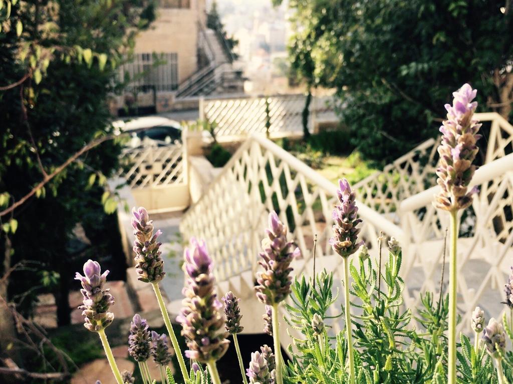 Lavender Boutique Hotel Ramallah Exteriör bild